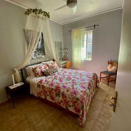 Gallery Apartments Ληξούρι Εξωτερικό φωτογραφία