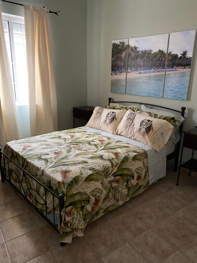 Gallery Apartments Ληξούρι Εξωτερικό φωτογραφία